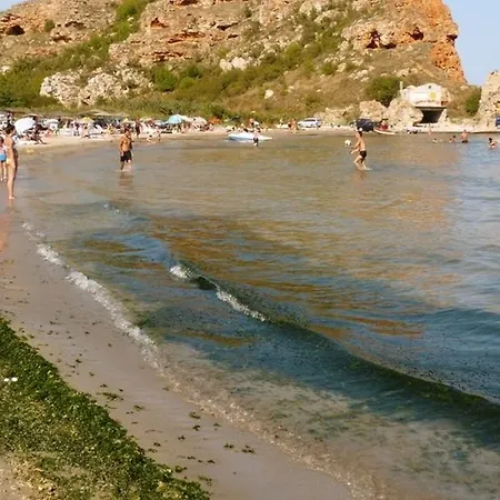 Rosi *